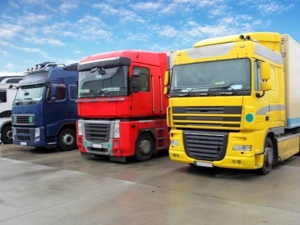 İzmir Palandöken Nakliye